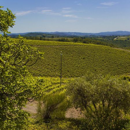 Fattoria Di Magliano Winery Villa Magliano in Toscana Phòng bức ảnh