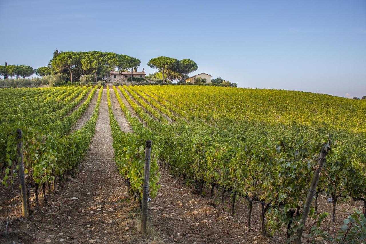 Fattoria Di Magliano Winery Villa Magliano in Toscana Ngoại thất bức ảnh