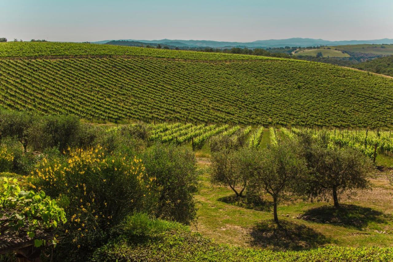 Fattoria Di Magliano Winery Villa Magliano in Toscana Ngoại thất bức ảnh